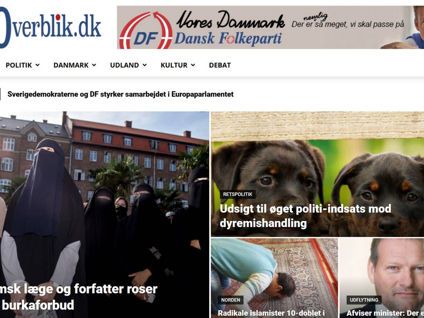 Sådan kommer forsiden på DF's nye medie ditoverblik.dk til at se ud. | Photo: PR