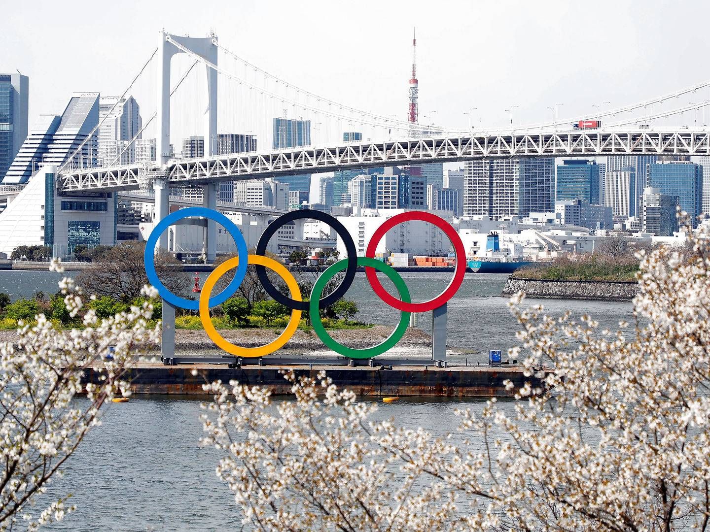 Foto: Usa Today Uspw/Usa Today Sports/Ritzau Scanpix