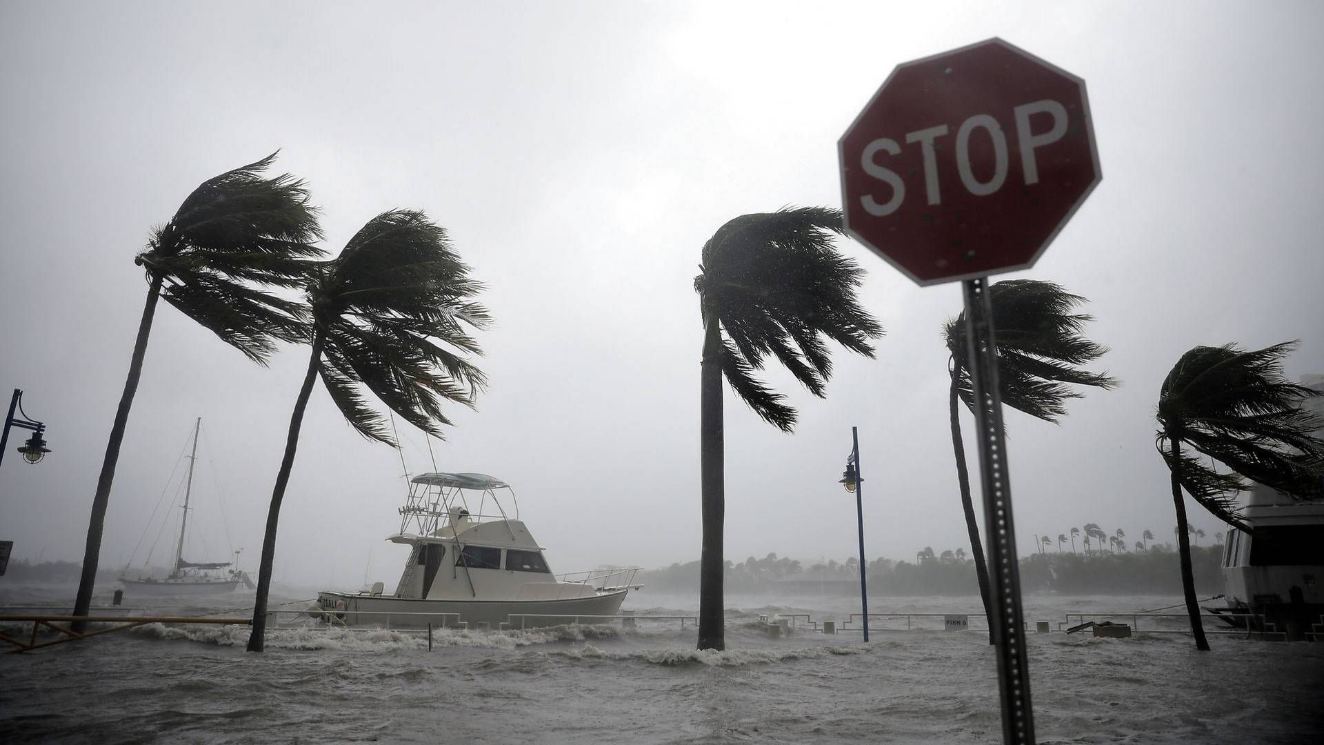 Foto: Carlos Barria/Reuters/Ritzau Scanpix