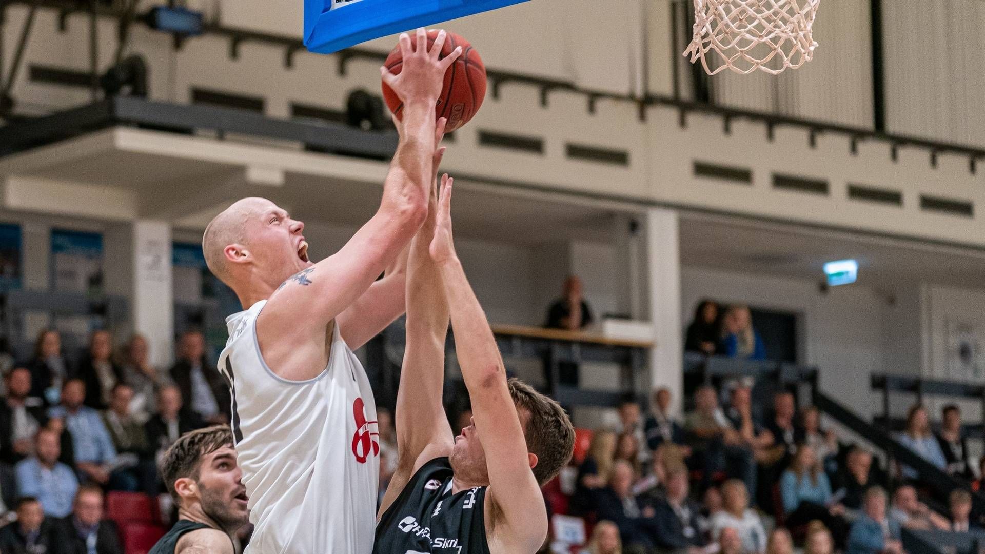 Foto: Dansk Basketball Forbund