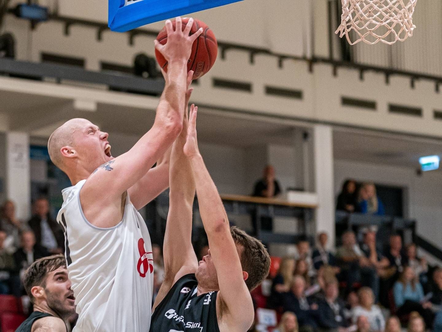 Foto: Dansk Basketball Forbund